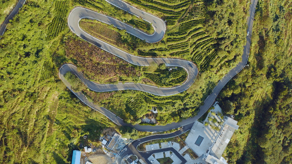 《她乡·风一样的女子》视觉设计方案