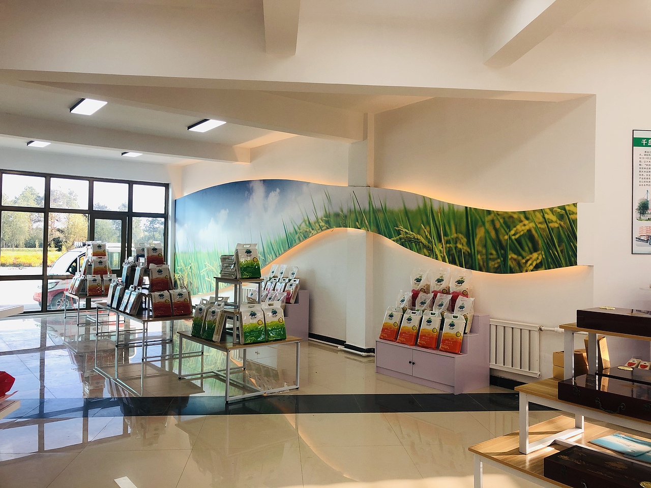 水稻种植体验中心