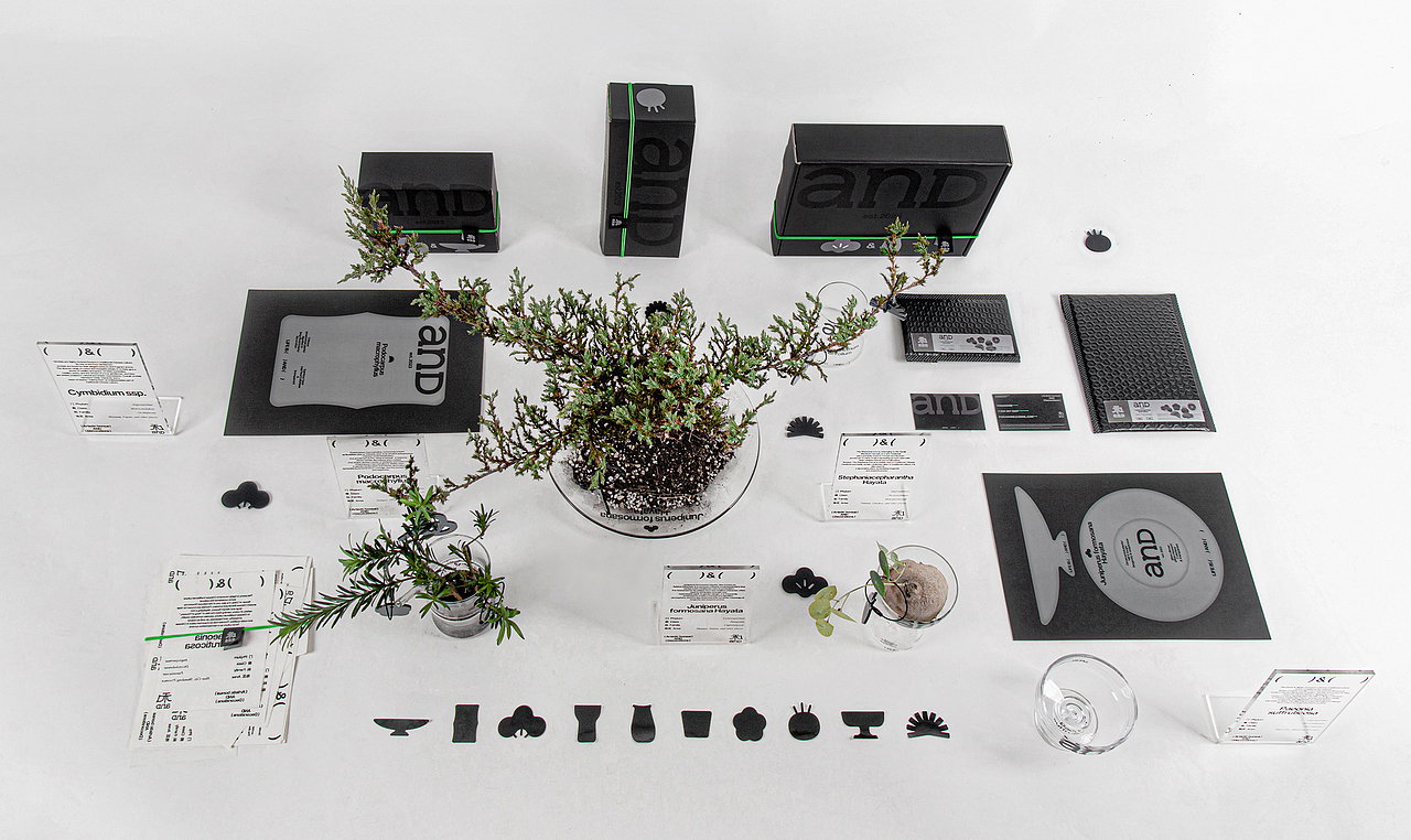 anD 和 | 2023毕业设计