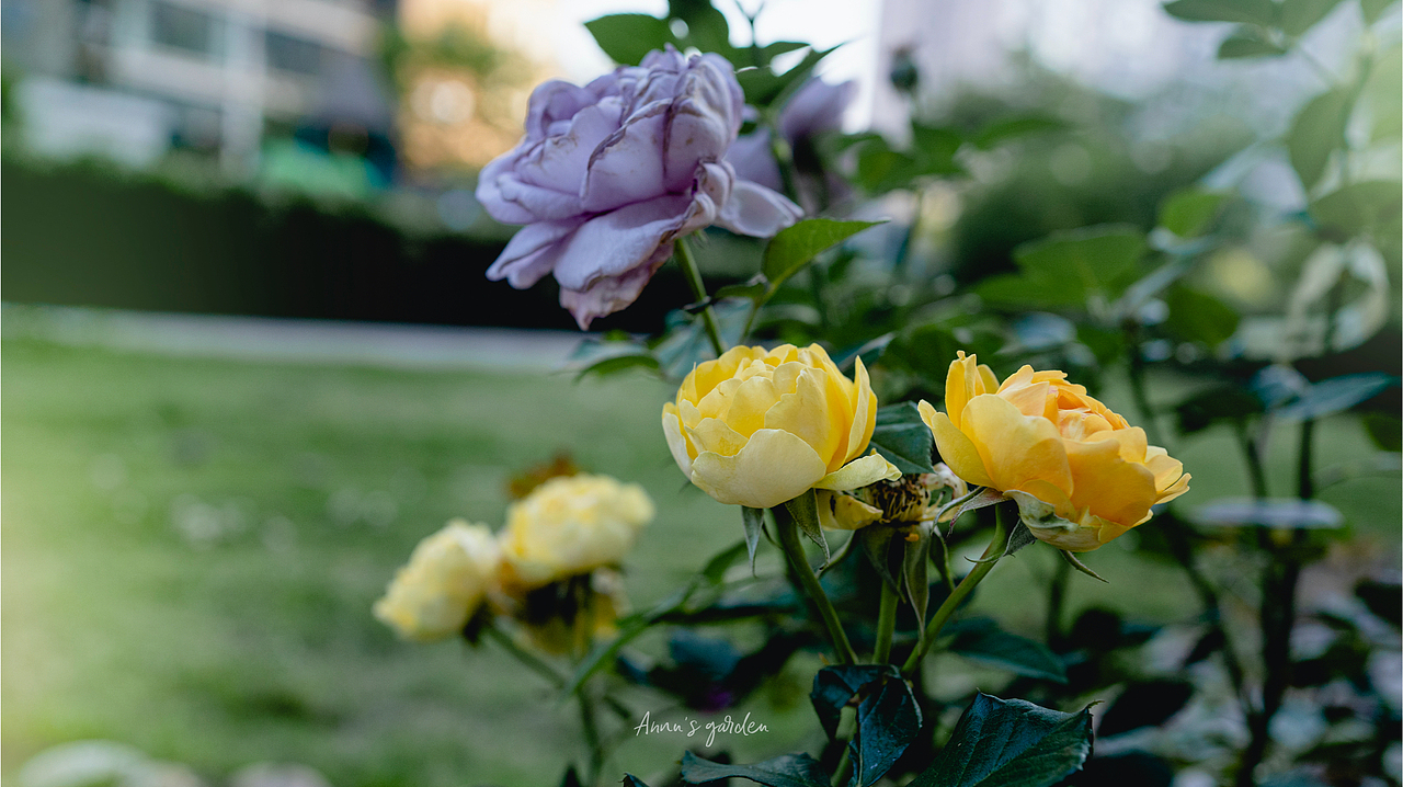 女生手中sony A7c能有多好用呢（图ZMzAyNTMxMzgw） - 人像摄影 - 站酷设计师原来是惊蛰啊原创素材 - 站酷ZCOOL