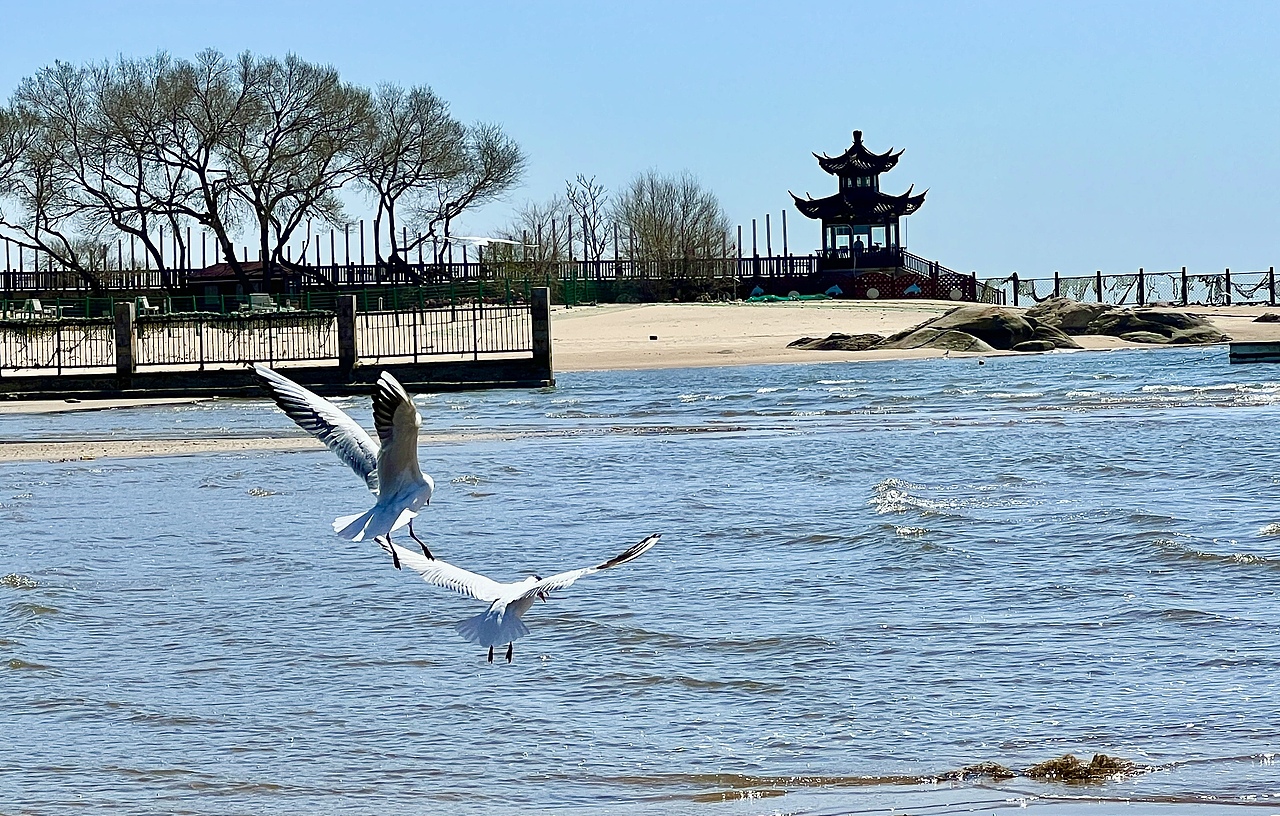 雕塑，隨拍。（圖ZMzUyOTU5ODg0） - 人文/紀實攝影 - 站酷設(shè)計師章魚灰原創(chuàng)素材 - 站酷ZCOOL