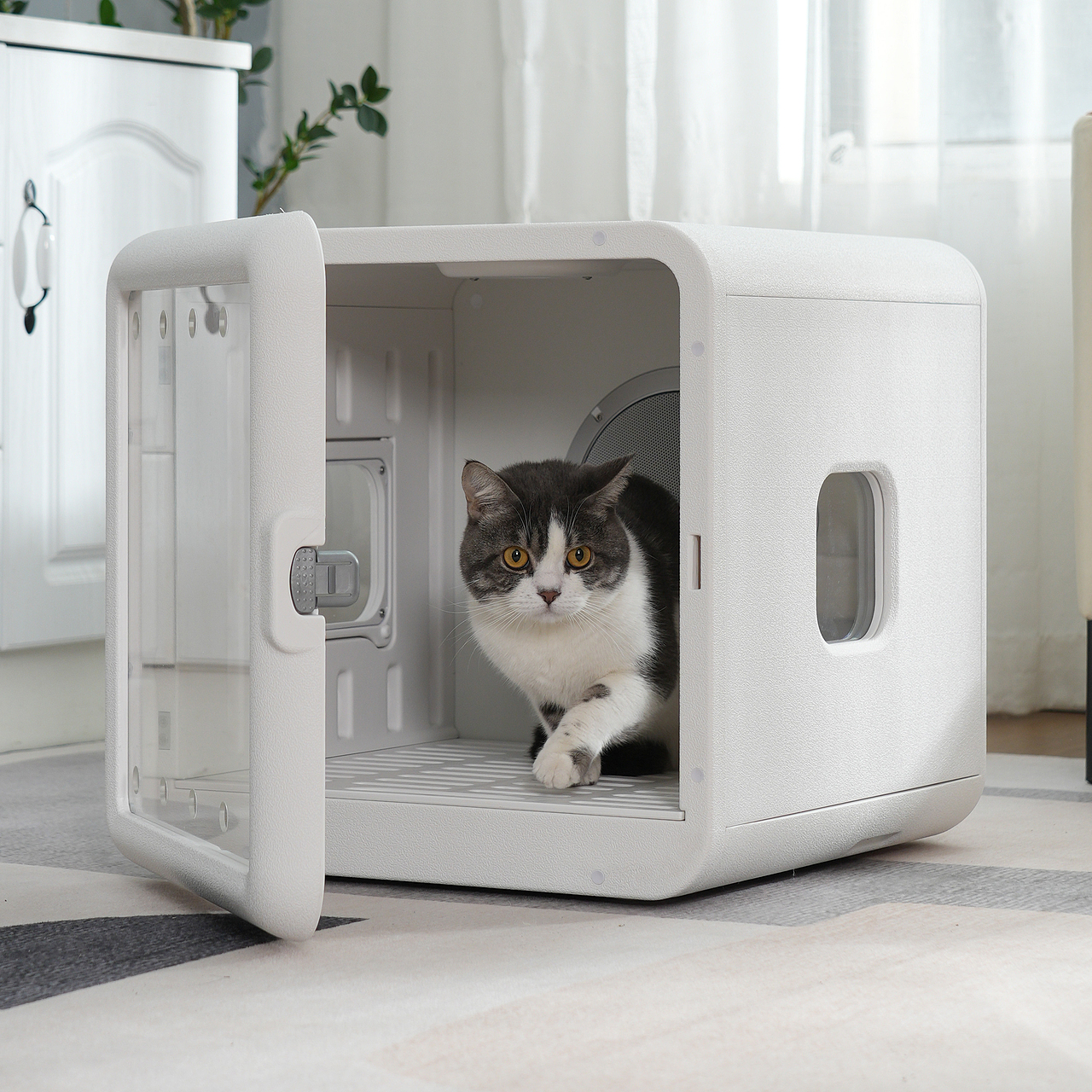 电器产品摄影宠物吹毛机主图视频拍摄亚马逊详情设计产