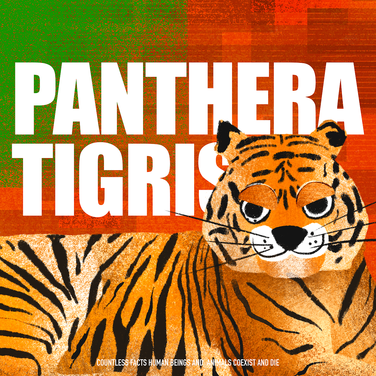 珍稀动物 | 你瞅瞅~这美好的花花世界