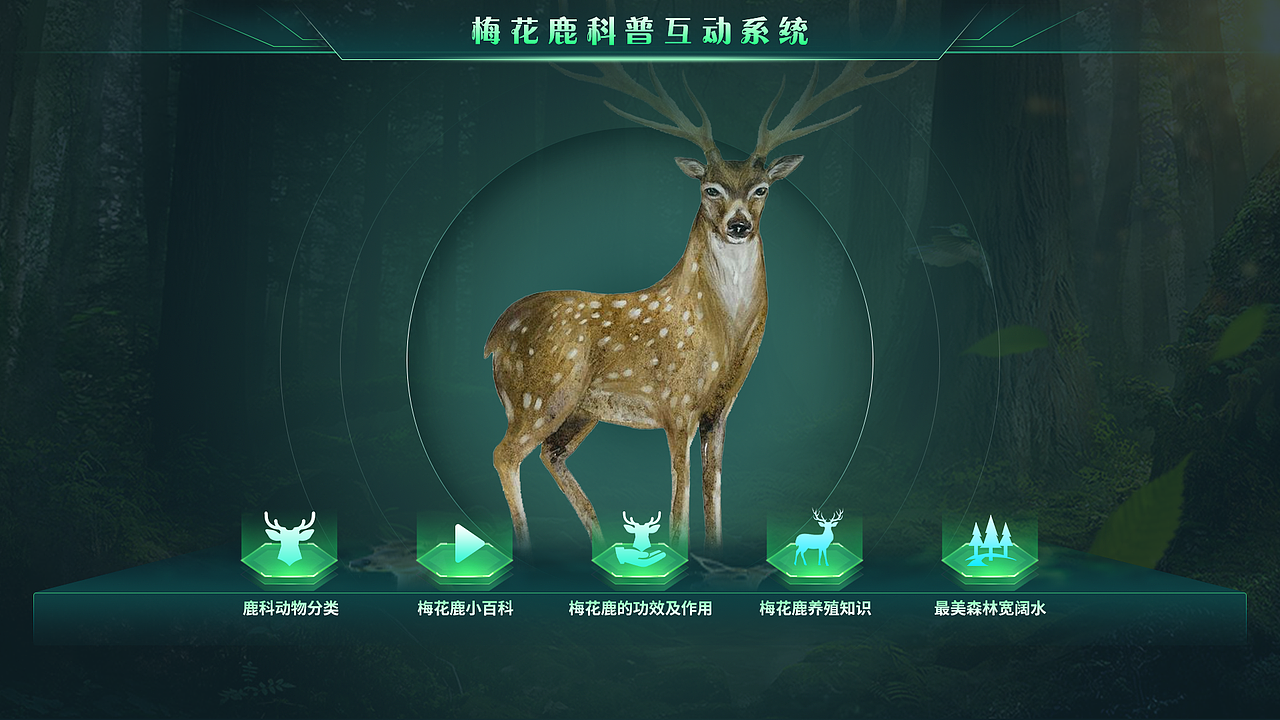 动物科普触摸屏（图ZMzU5MTI1ODUy） - 软件界面 - 站酷设计师何其自性原创素材 - 站酷ZCOOL