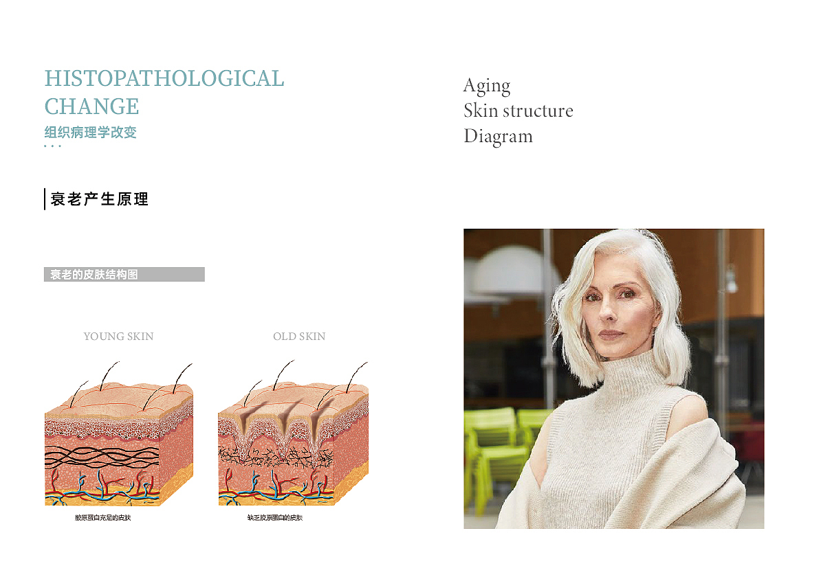 医美类-品牌手册设计