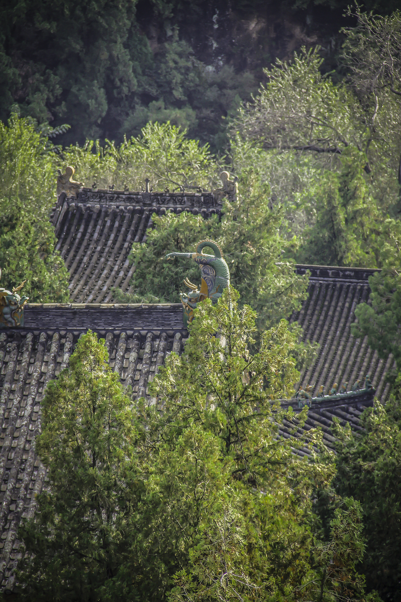 【建筑景观】—— 汝州风穴寺
