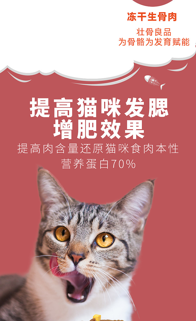 宠物 猫狗 电商 详情页 主图 包装 设计