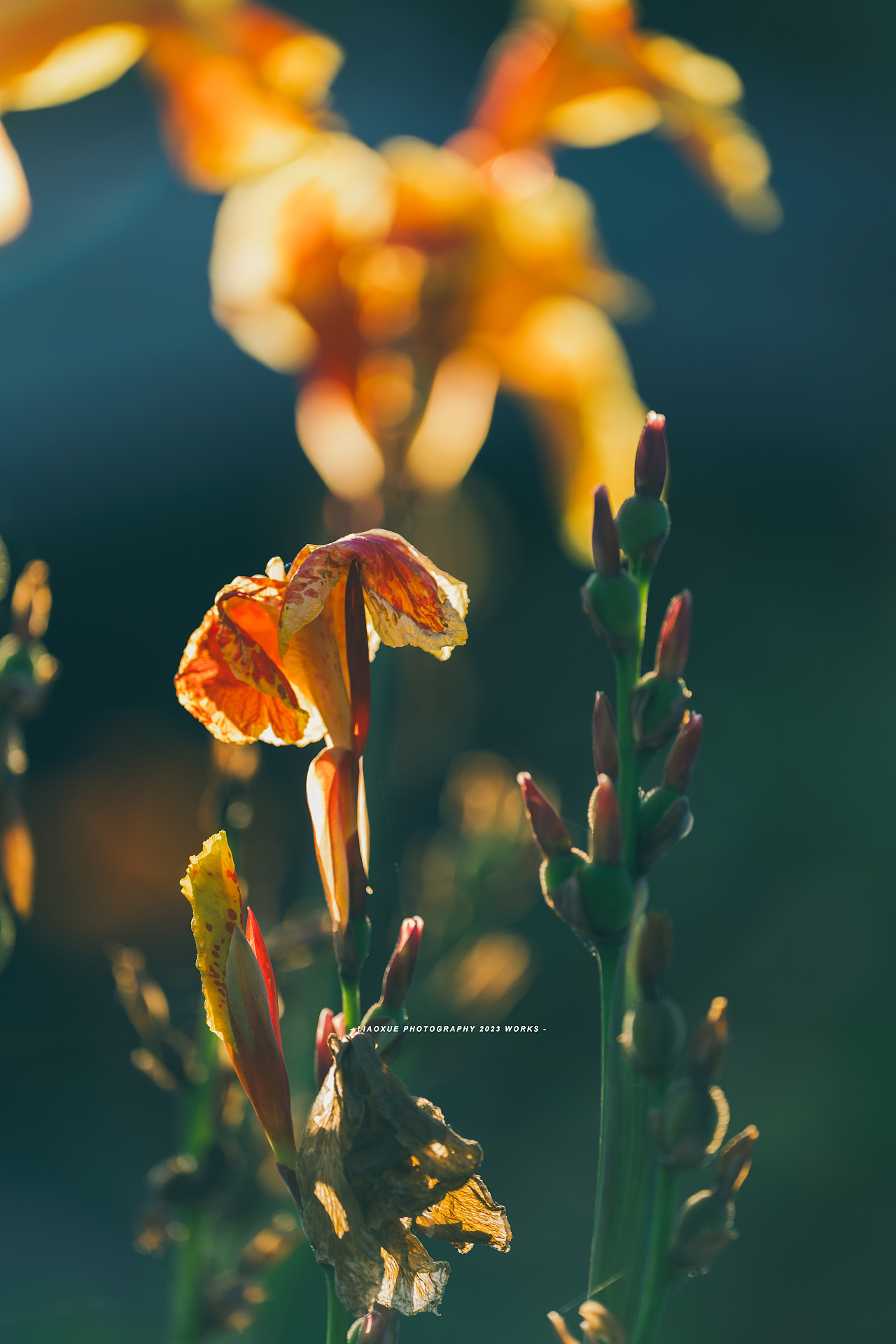 旅行摄影流水帐|镜头里的秋（图ZMzUzMDI5MjI0） - 人文/纪实摄影 - 站酷设计师雪小廖原创素材 - 站酷ZCOOL