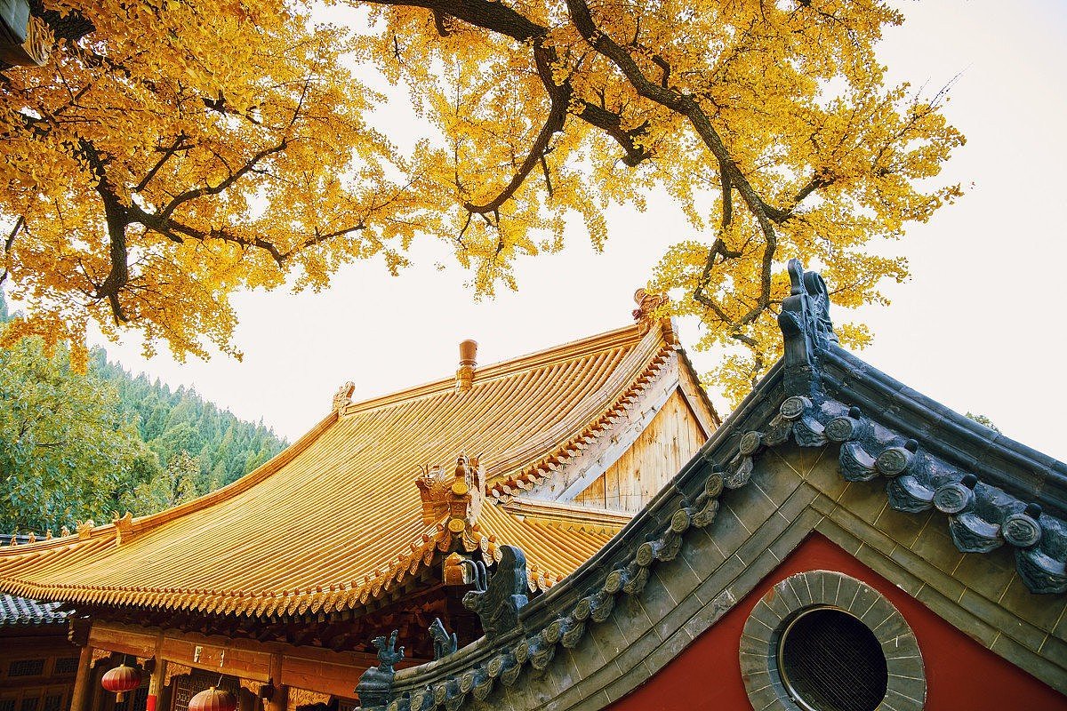 空山新雨后,天气晚来秋。  秋风生渭水,落叶满长安。