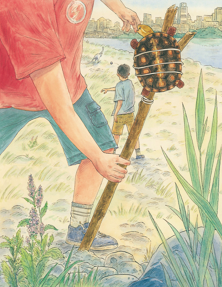 一只乌龟一只猫