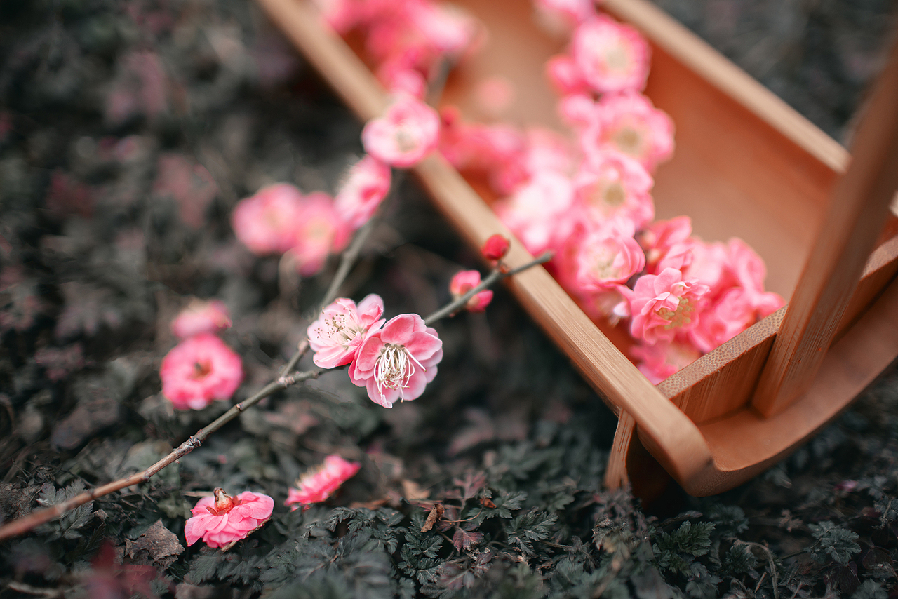 惹春风（图ZMzMxMjA5MjQ4） - 人像摄影 - 站酷设计师摄影师不可说原创素材 - 站酷ZCOOL