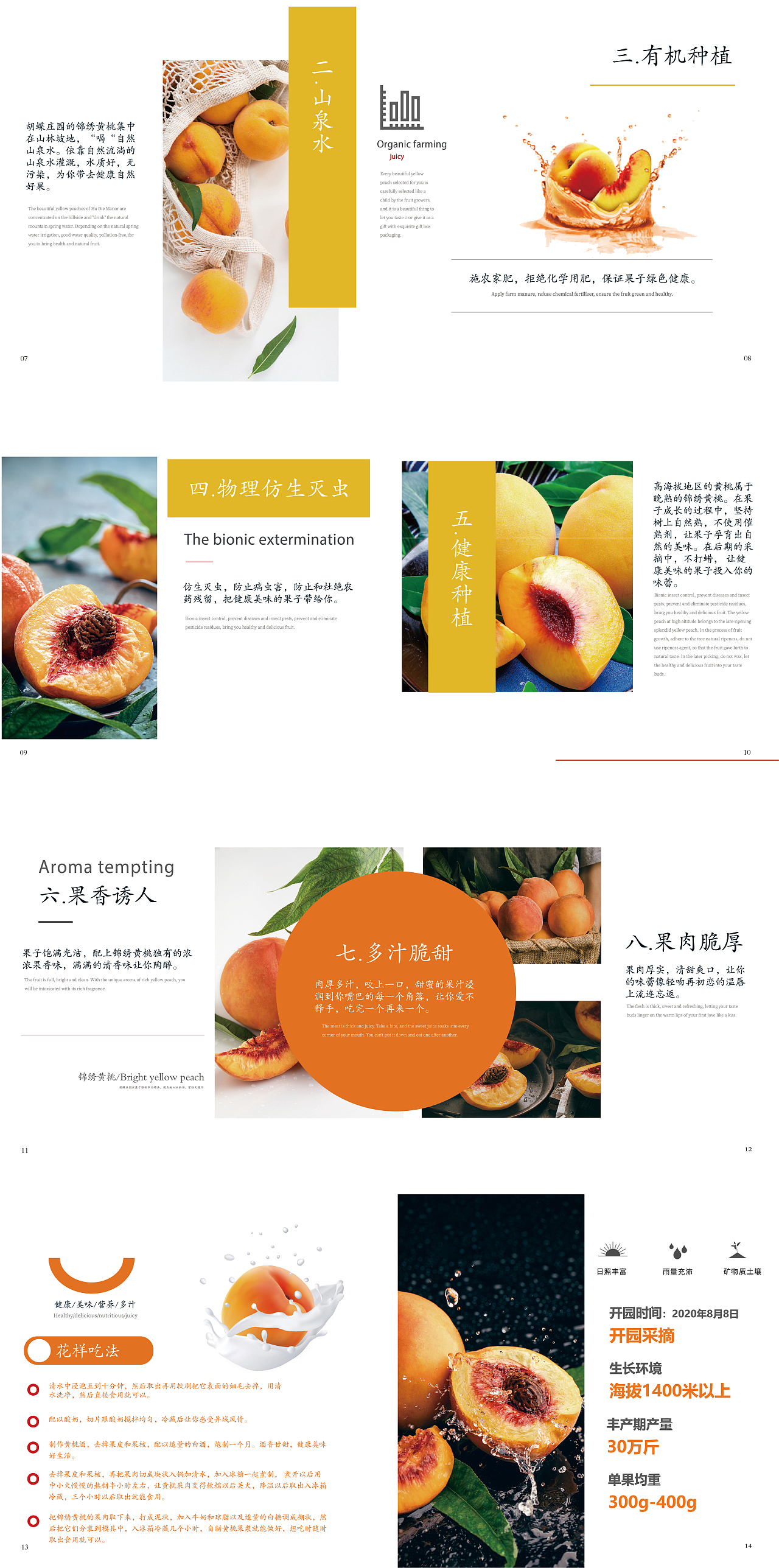 畫(huà)冊(cè)《蝴蝶莊園 錦繡黃桃》（圖ZMzI5Njk2Mjcy） - 其他 - 站酷設(shè)計(jì)師劉曉六呀原創(chuàng)素材 - 站酷ZCOOL