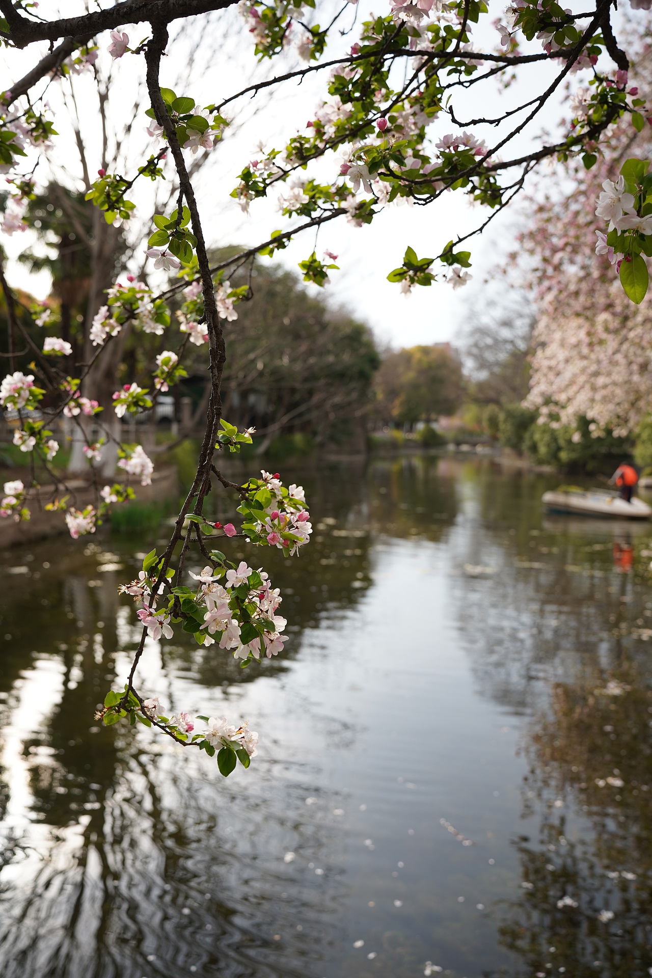 南京莫愁湖公园