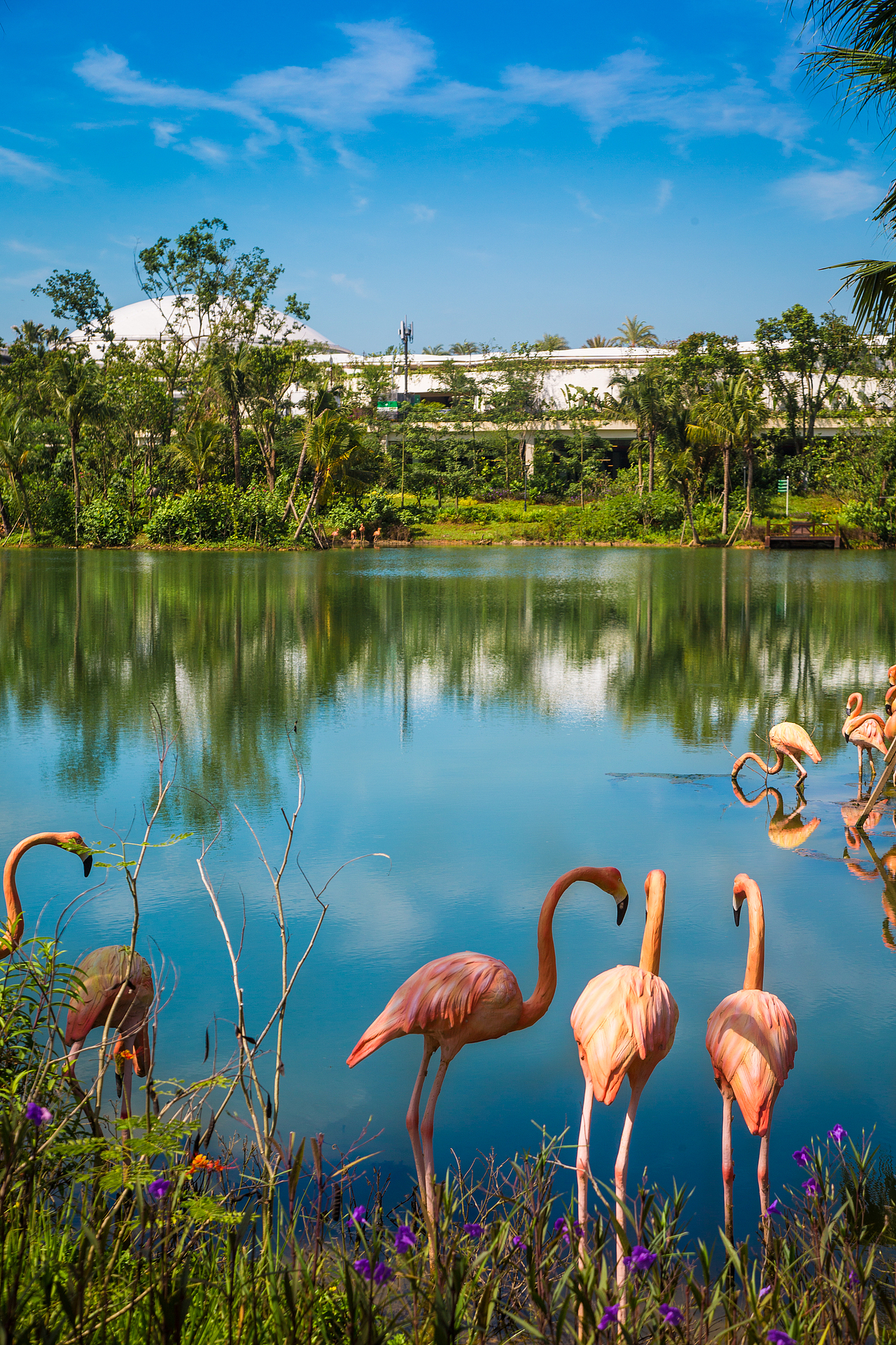 空间摄影｜海景项目园林展示区（图ZMzM0MjgxNjY0） - 环境/建筑摄影 - 站酷设计师飞影传媒张飞鹏原创素材 - 站酷ZCOOL