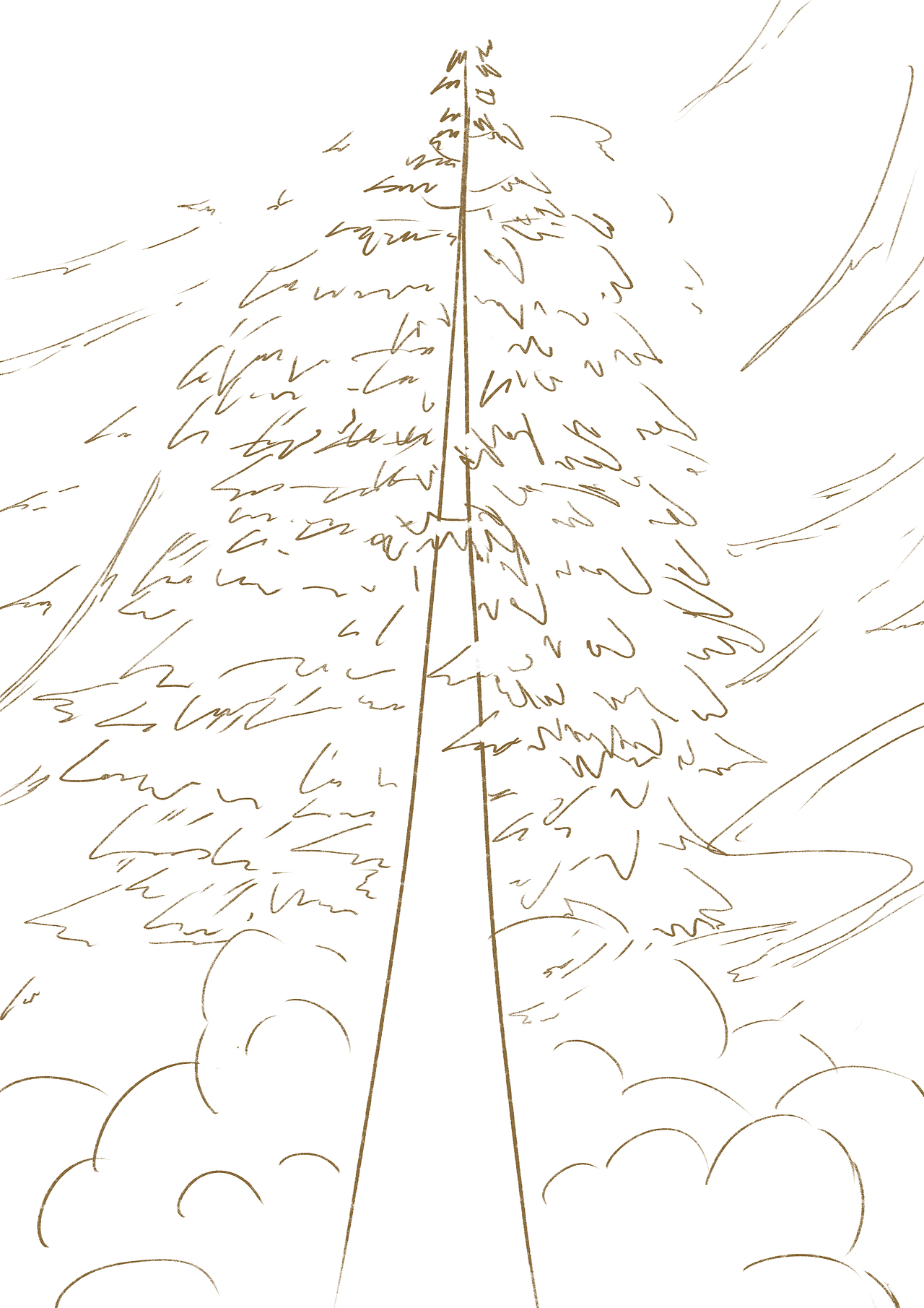 参天大树,冲上云霄