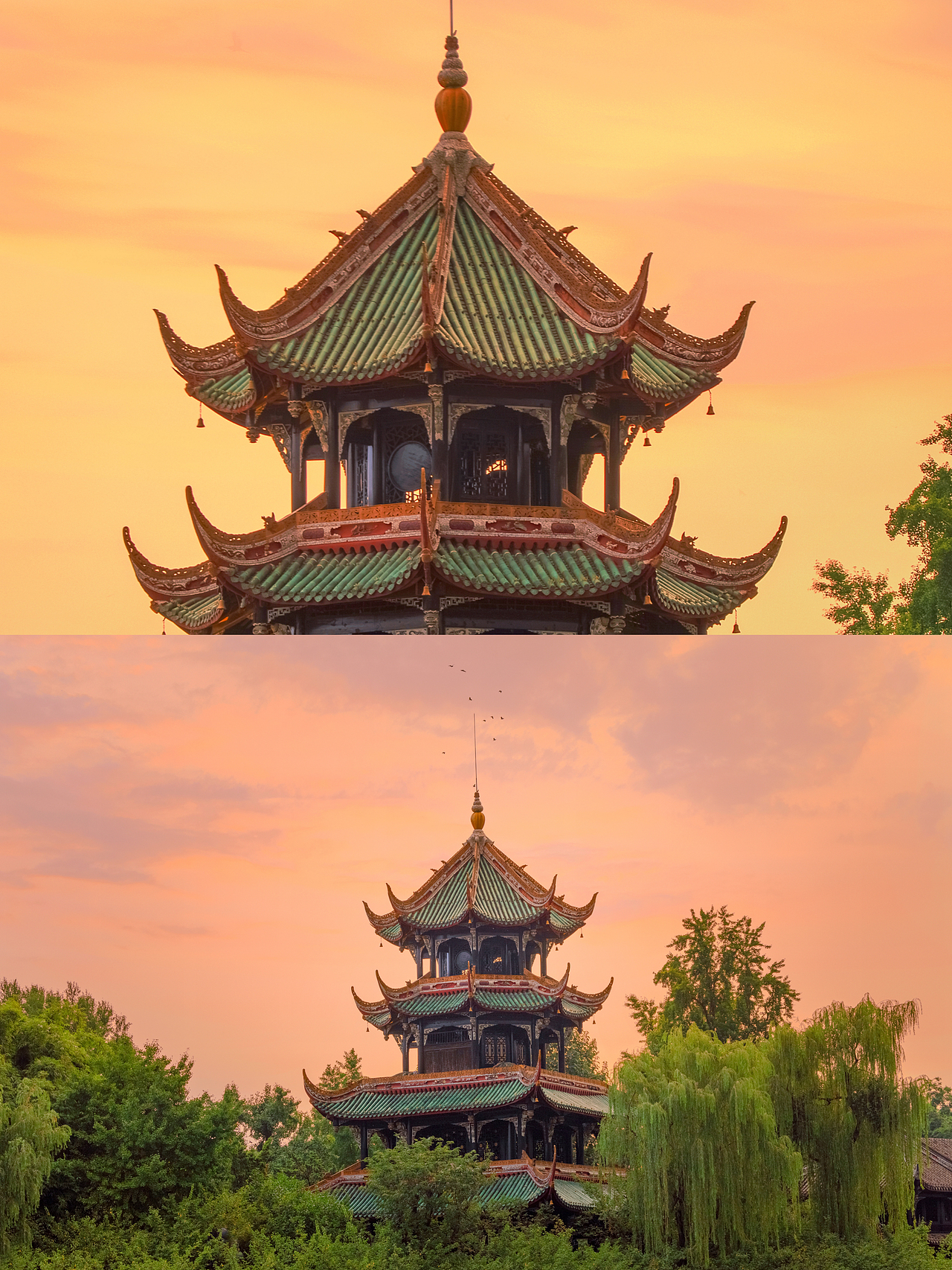 18张图,带你感受成都绝美的盛夏