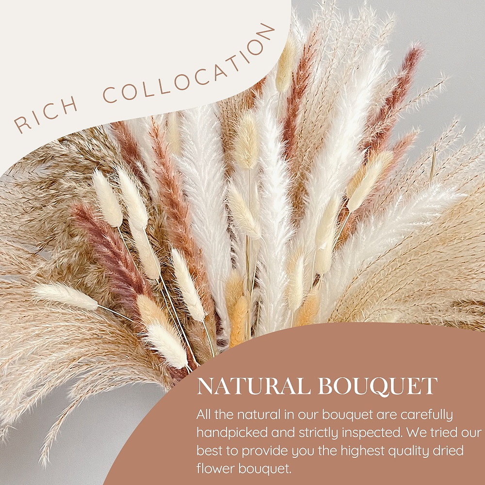 亚马逊 芦苇干花产品图片/A+