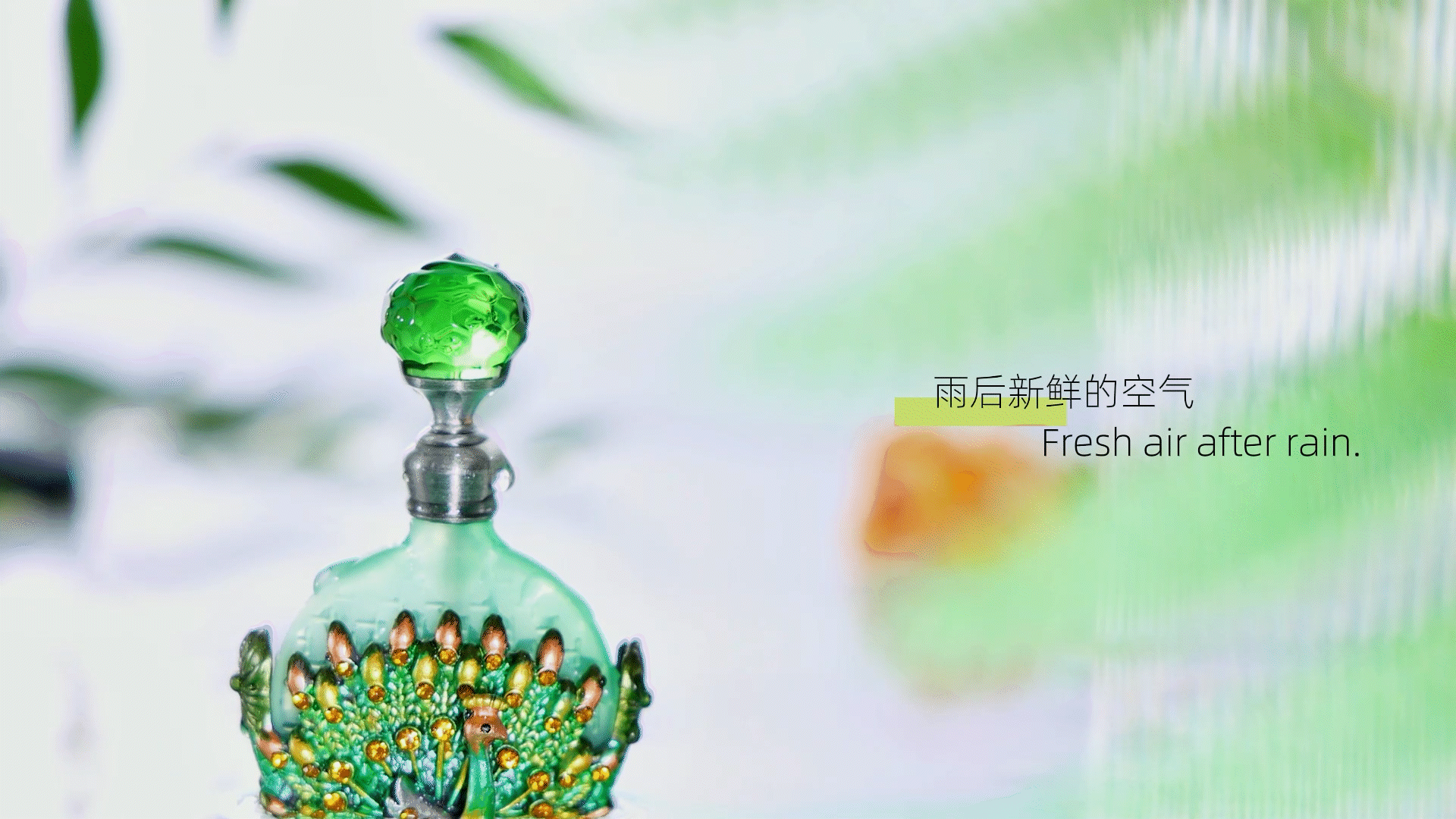 香水系列视频设计/与孔雀共舞.