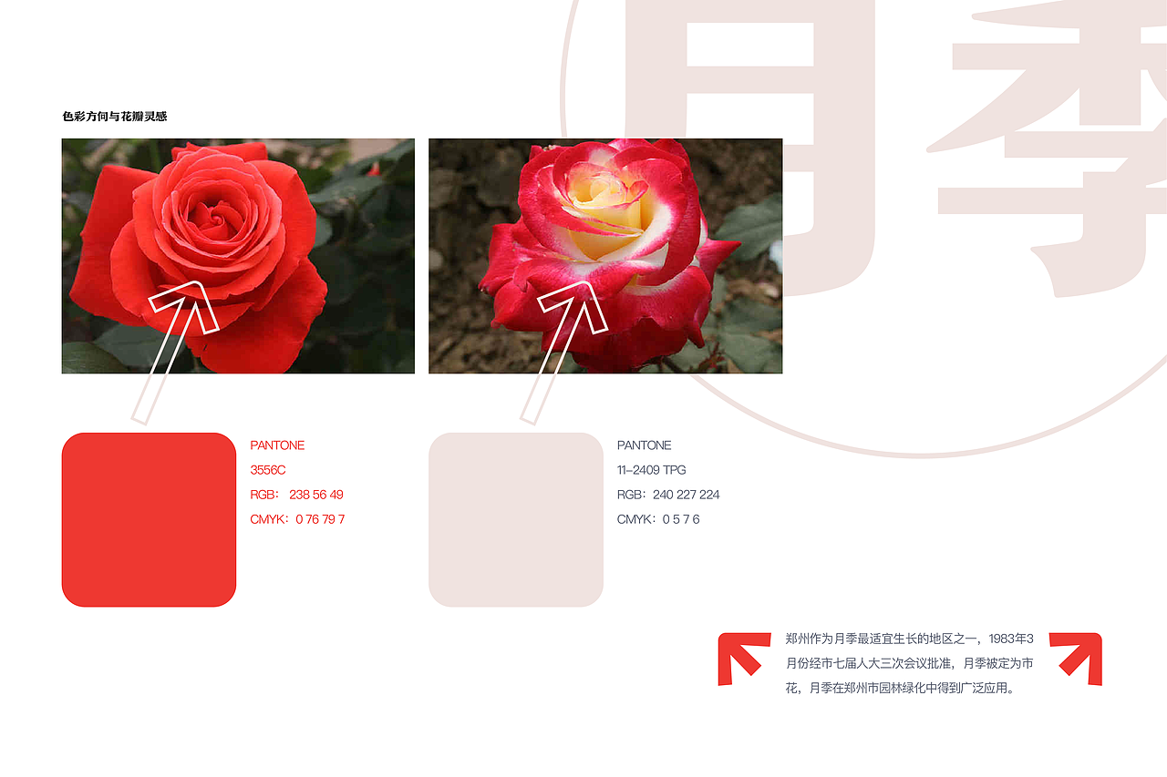 郑州人才(VI设计)