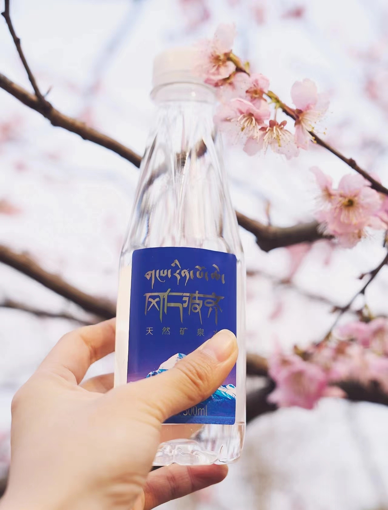 冈仁波齐矿泉水