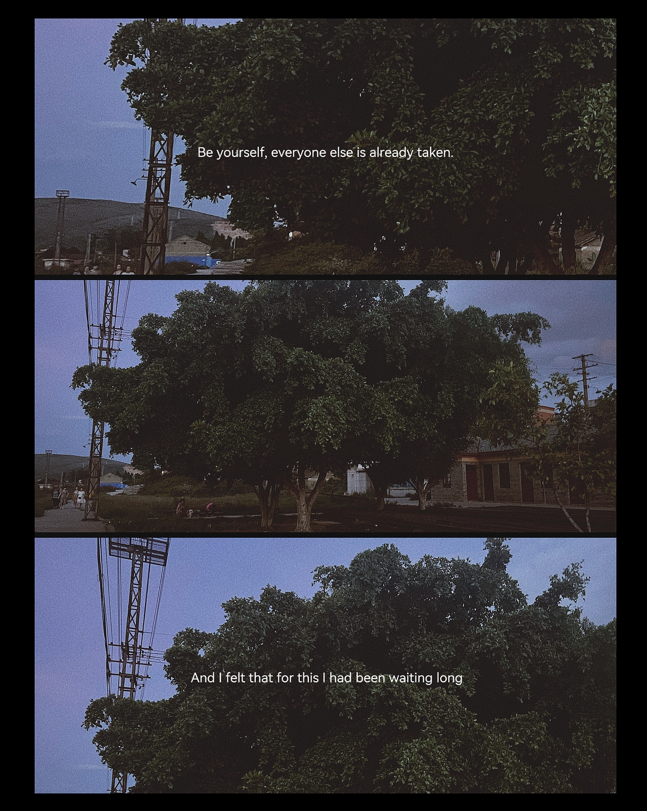 2022年手机摄影系列