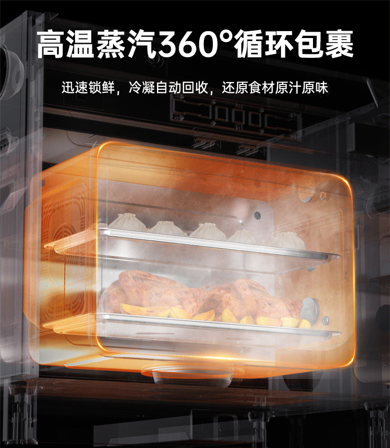 集成灶项目