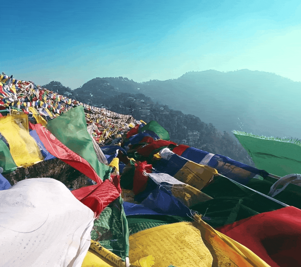 松赞 & CHALI ｜藏地与茶道，不谋而合（图ZMzU1NDI2ODY4） - 短片 - 站酷设计师TushiDesign原创素材 - 站酷ZCOOL