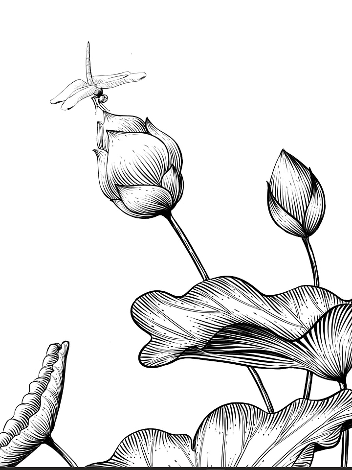 版画风 | 秋思and荷花