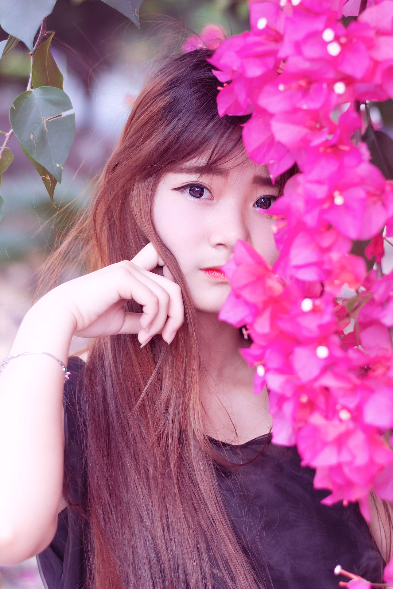 又到了拍花的季节,三角梅人像写真