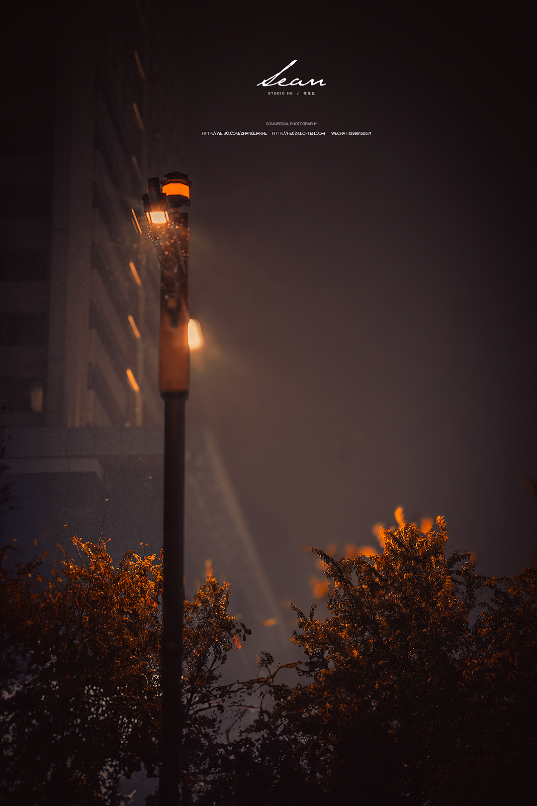 有了相机后你会发现风霜雨雪都是诗都是画