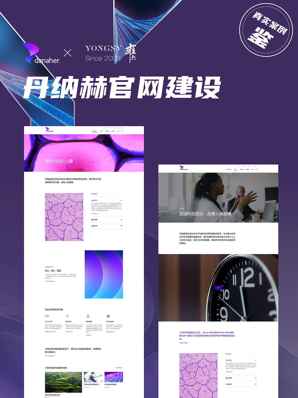 【上海雍熙YONGSY】高端网站建设：丹纳赫
