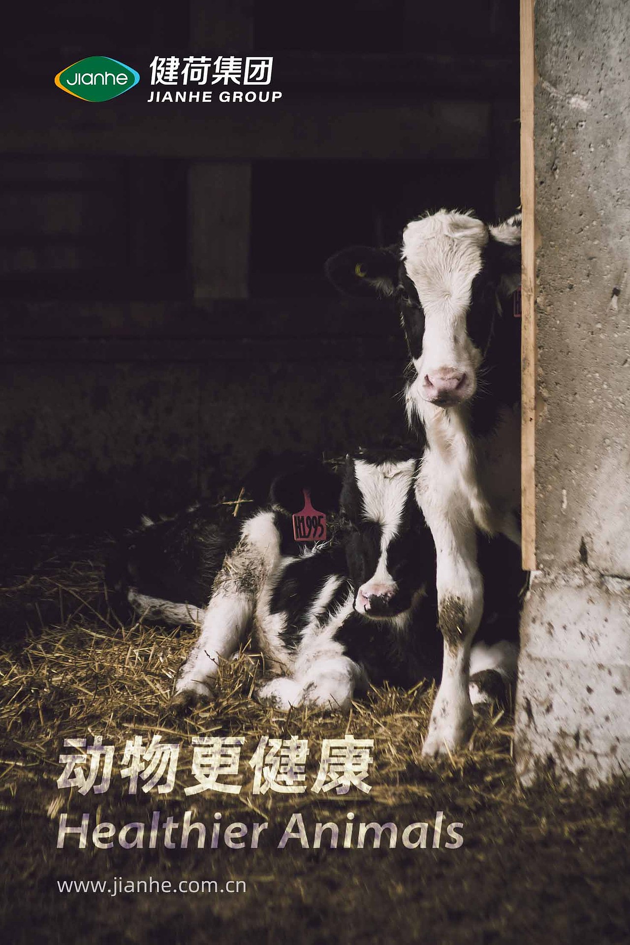 健荷集团标志升级 | 畜牧品牌设计 | VI、标志LOGO设计