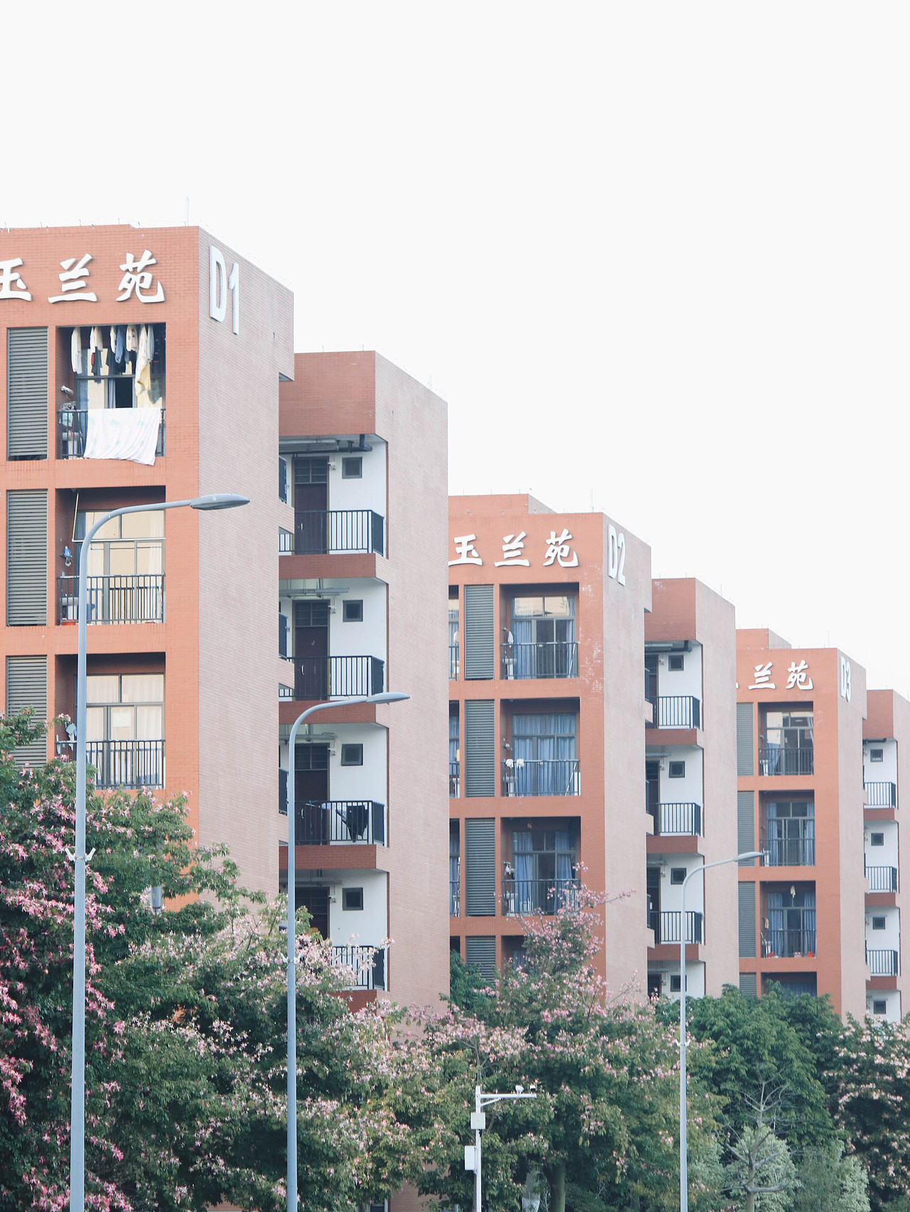 校园（图ZMzM3OTg2NDA0） - 风光摄影 - 站酷设计师林二三_原创素材 - 站酷ZCOOL