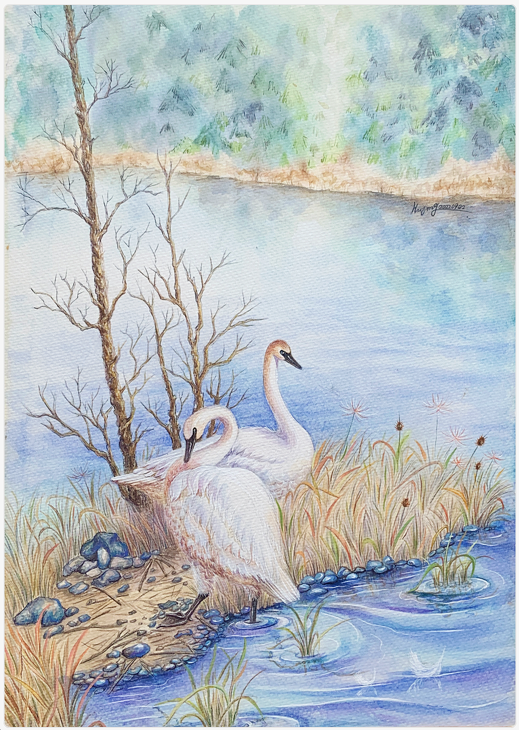 水彩 天鹅湖（图ZMzMyMjAyMjUy） - 创作习作 - 站酷设计师吹暖风的猫原创素材 - 站酷ZCOOL