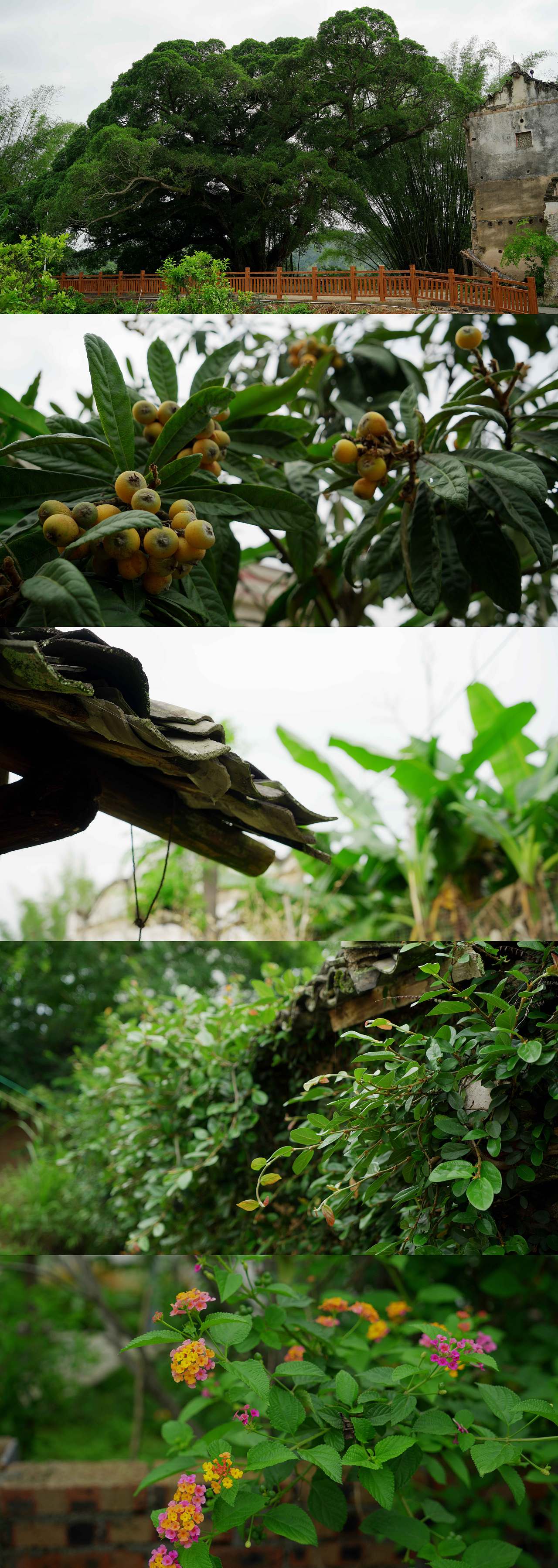 家鄉(xiāng)（圖ZMzE4MTMwMzQw） - 風光攝影 - 站酷設(shè)計師意小歡原創(chuàng)素材 - 站酷ZCOOL