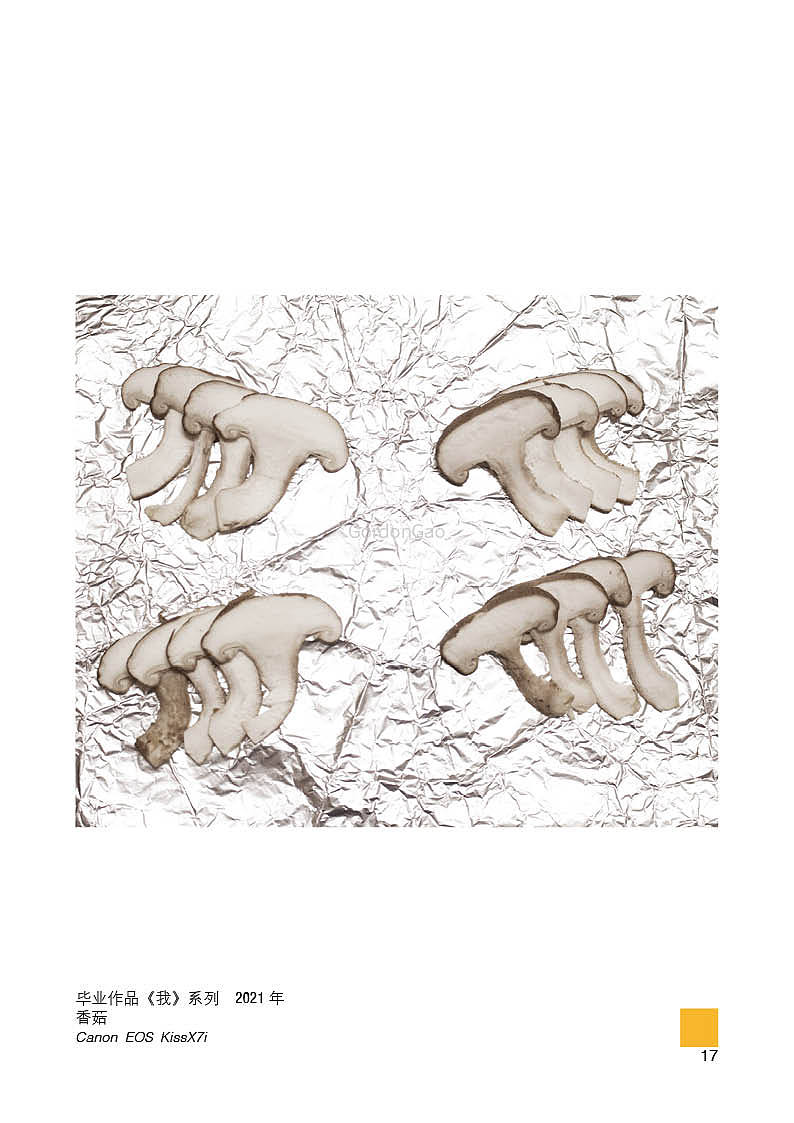 近2年选录作品集