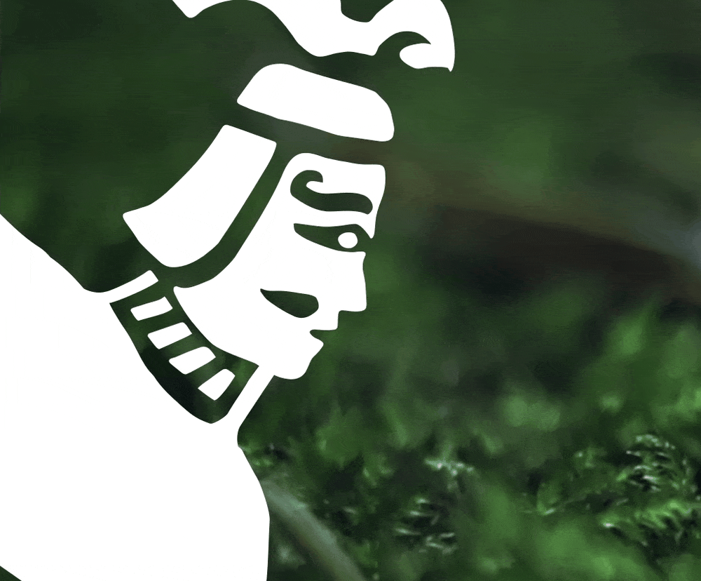 原创动画|御守茶LOGO动态设计