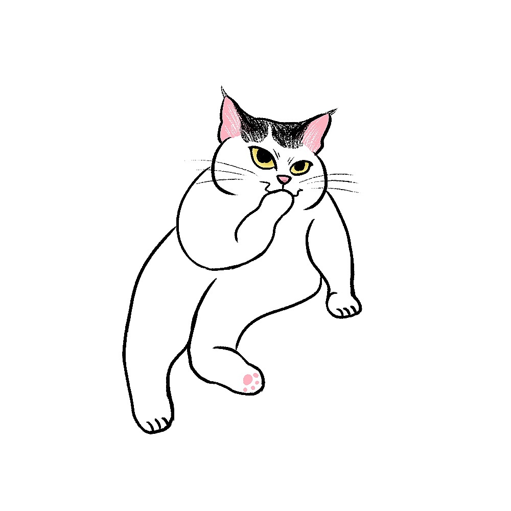 猫猫狗狗大合集（图ZMzY2OTkzMDcy） - 创作习作 - 站酷设计师Catmiaomiaomiao原创素材 - 站酷ZCOOL