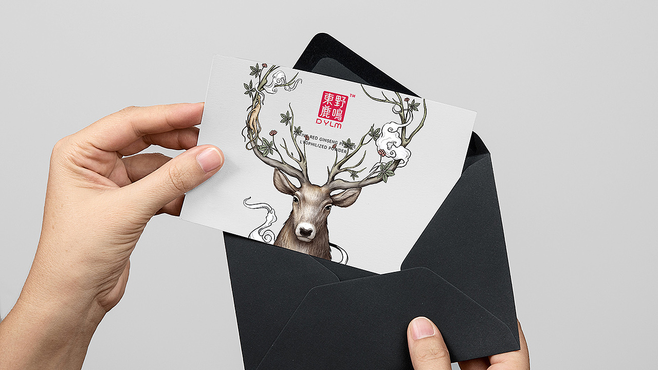 东野鹿鸣产品打造