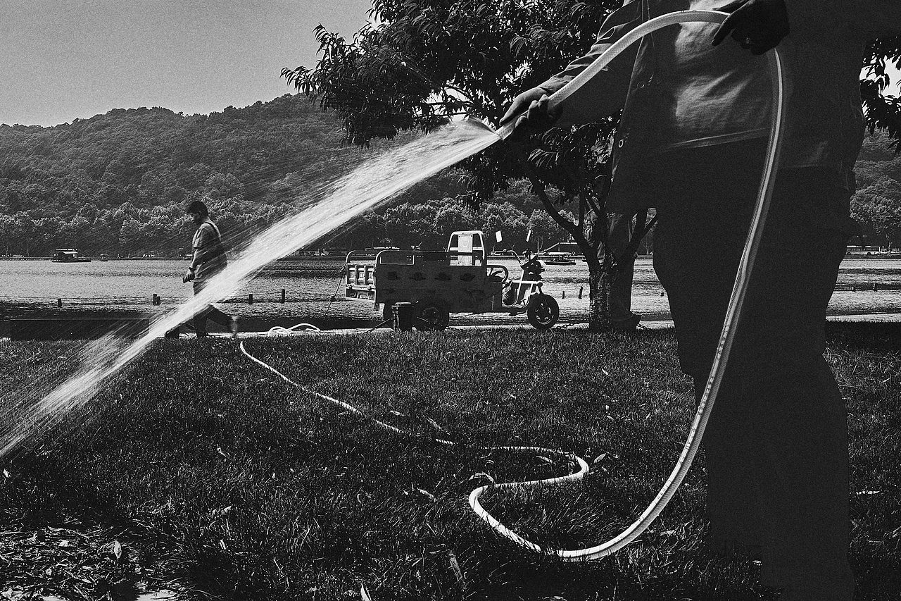 四张黑白。。。。。。