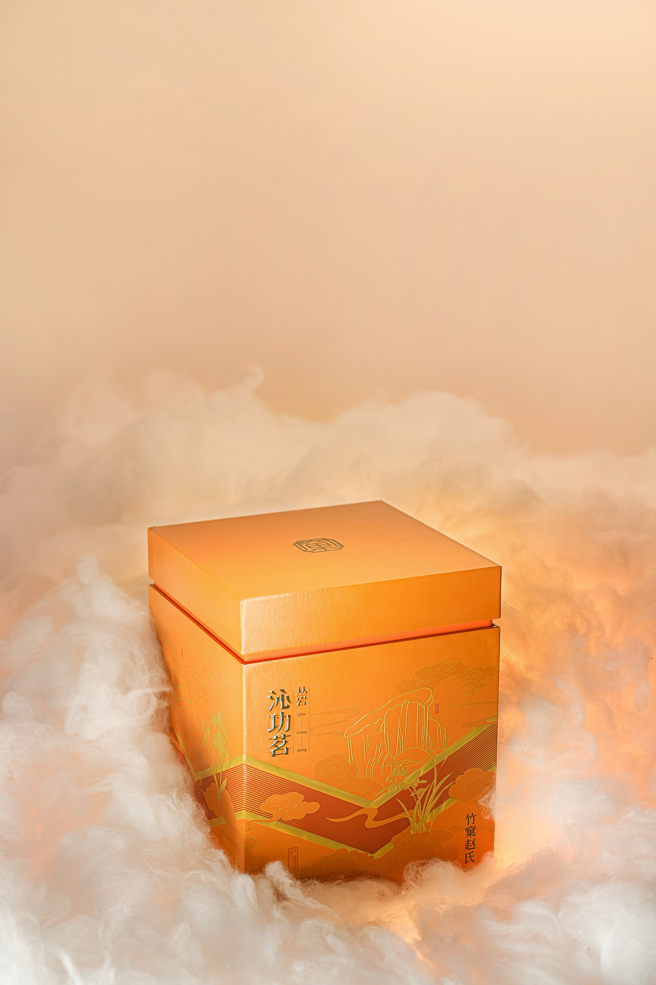 沁功茗/茶叶包装/产品摄影