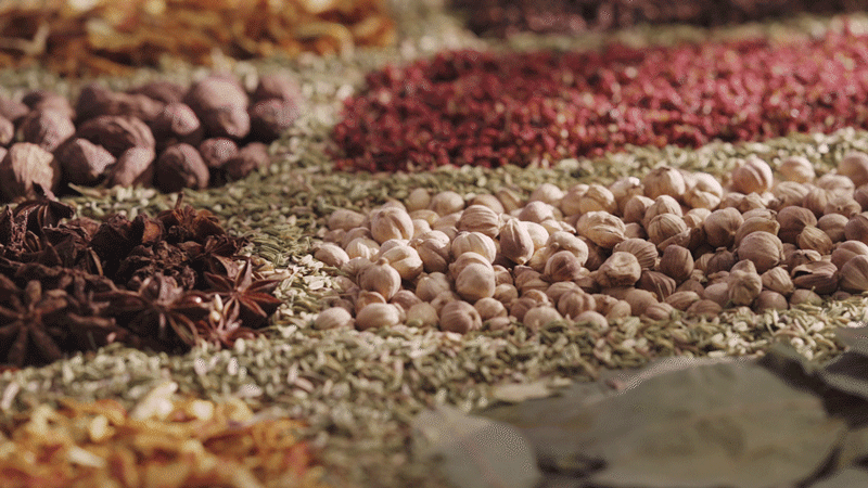 德州扒鸡-生态养殖篇