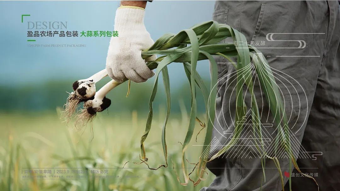 包装设计丨盈品农场