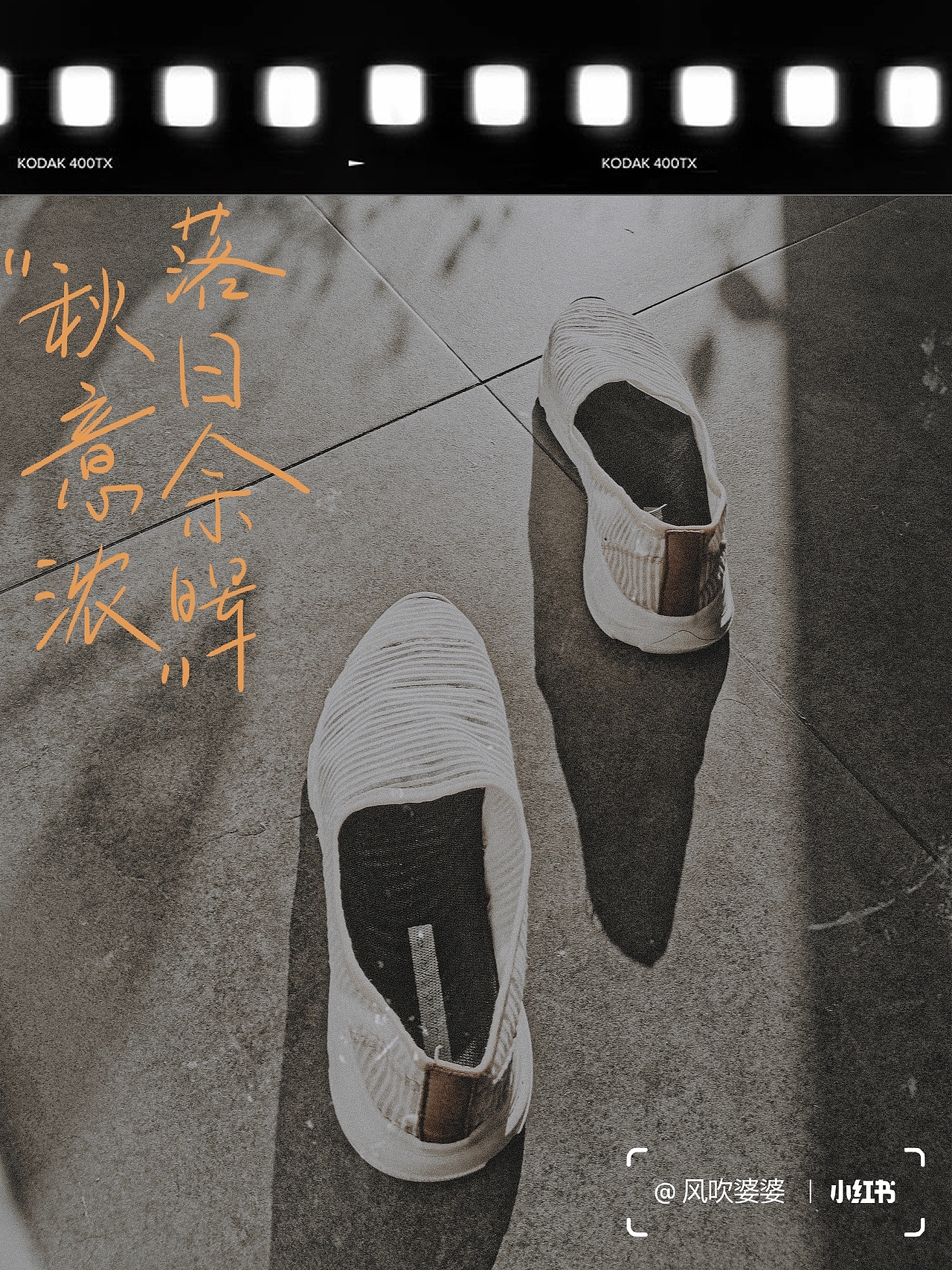 秋天的尾巴 2023.11.14