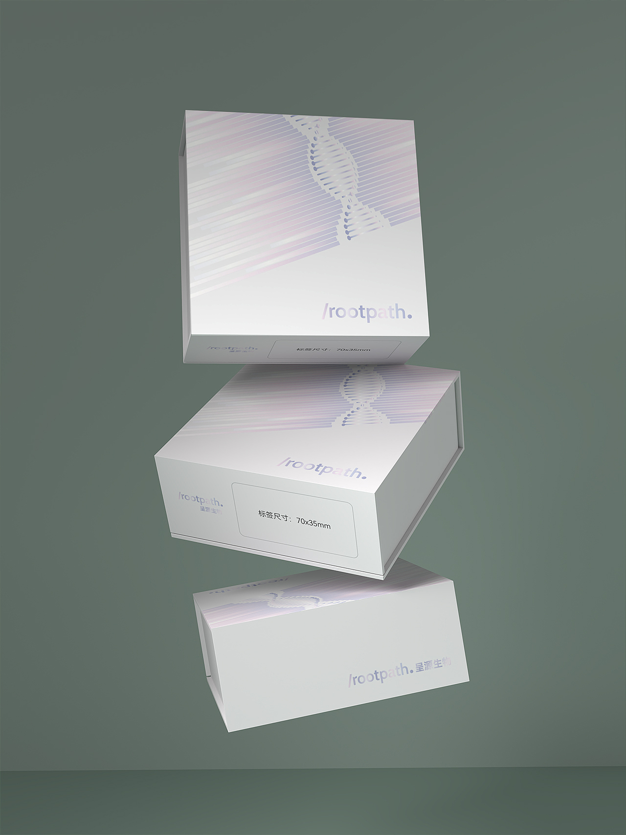 生物基因包装盒