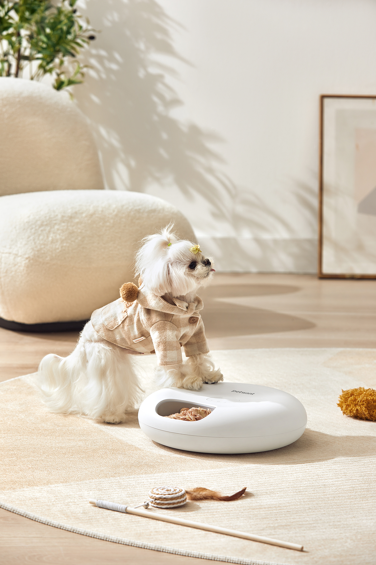 执灰 ✖ 派旺宠物喂投盒 ✖ 小学生（图ZMzYwNDU3MTM2） - 修图/后期 - 站酷设计师小小灰修图师原创素材 - 站酷ZCOOL