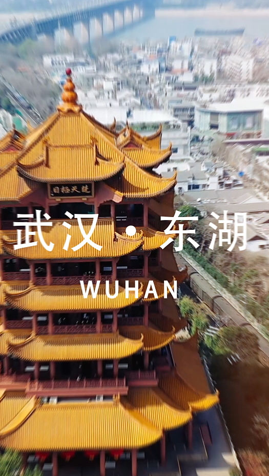 东湖论坛邀约快闪视频