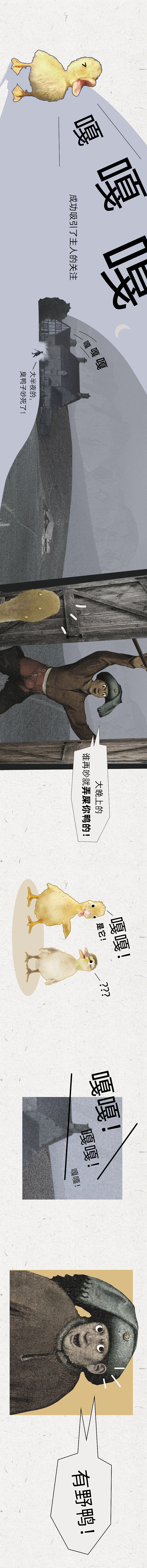 《科尔鸭发家史》