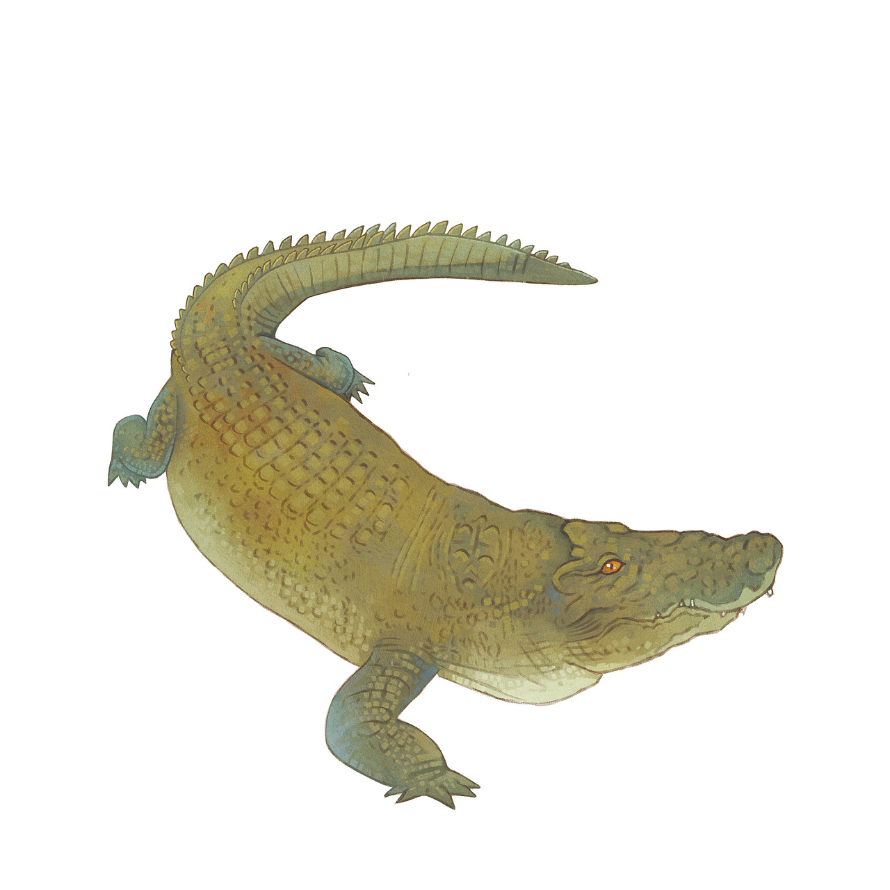 兒童英語(yǔ)雜志小結(jié)（圖ZMzE4MzU1MTQ0） - 兒童插畫(huà) - 站酷設(shè)計(jì)師c王子的金魚(yú)原創(chuàng)素材 - 站酷ZCOOL