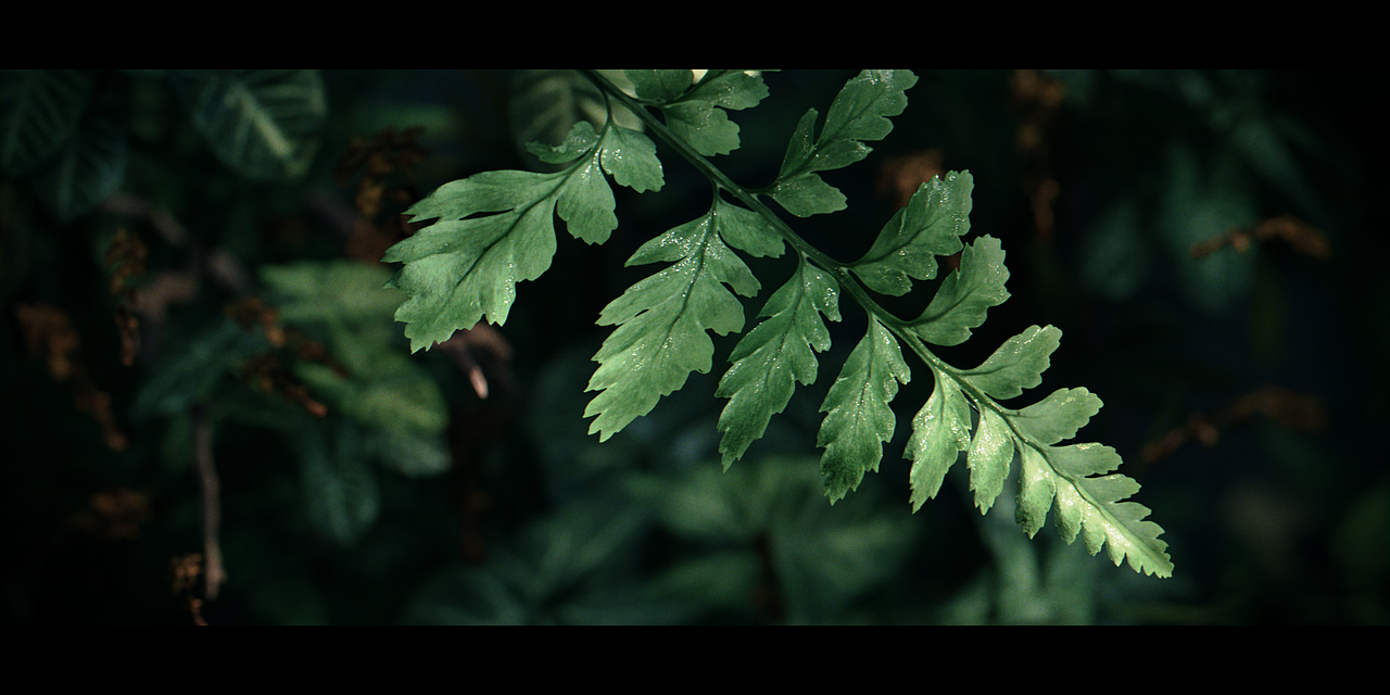 个人作品CG-Blender-UE